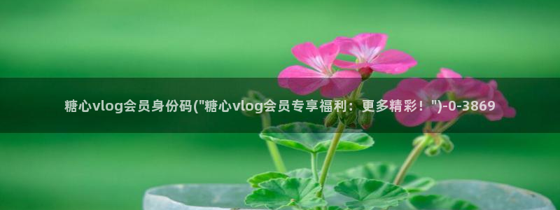 糖心vlog芭芭拉：糖心vlog会员身份码(\