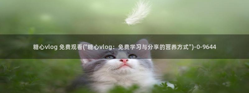 最新糖心vlog官网：糖心vlog 免费观看(\