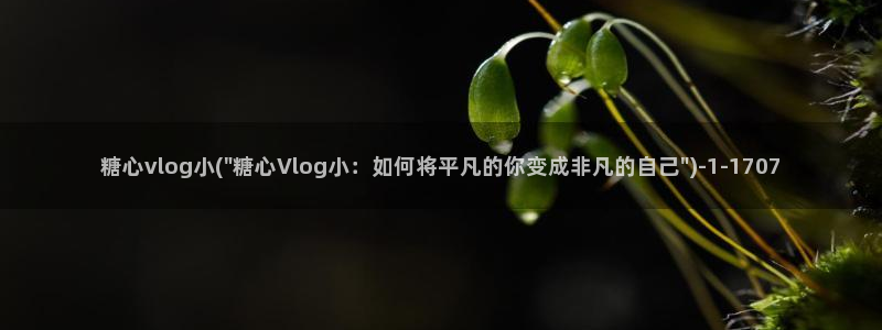 糖心vlog ftp：糖心vlog小(\