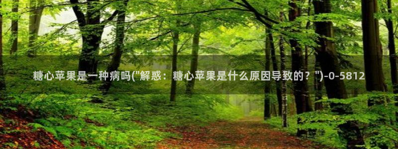 糖心vlog官网版下载