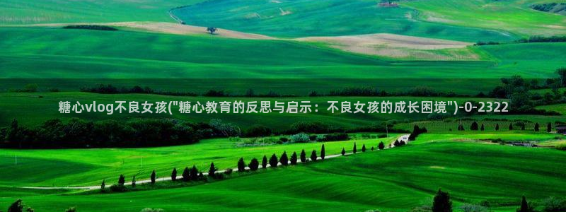 心糖vlog