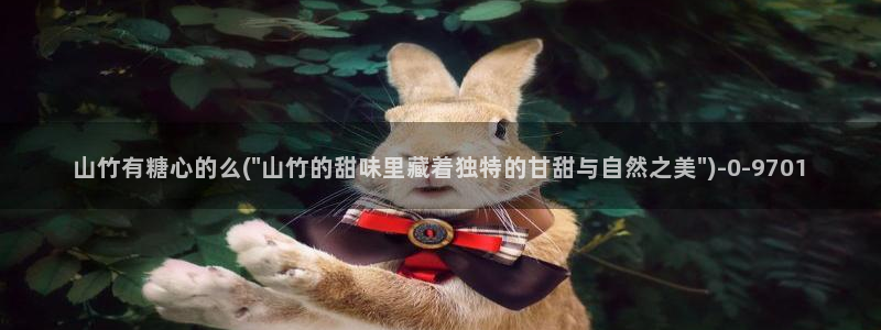 心糖vlog免费版