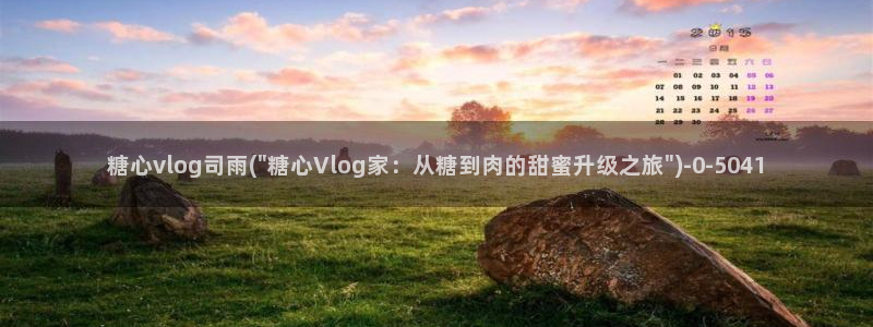 糖心vlog全部作品