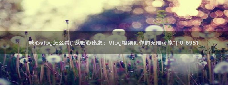 糖心vlog官方在线观看