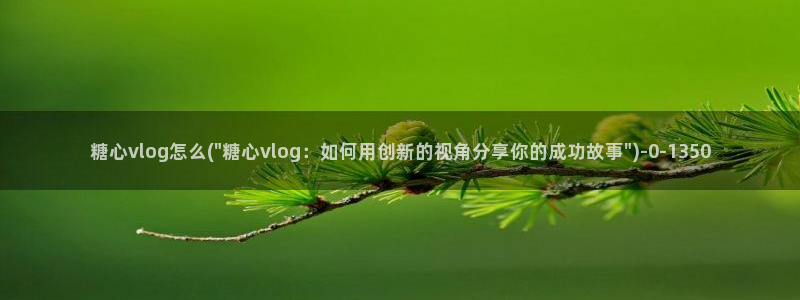心糖vlog免费观看