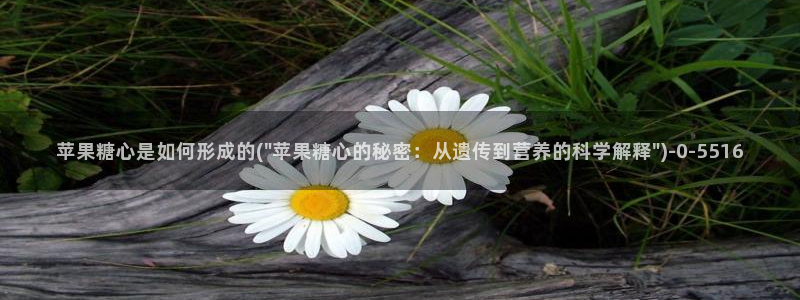 糖心vlog破解视频