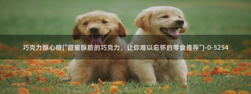 糖心vlog小巨