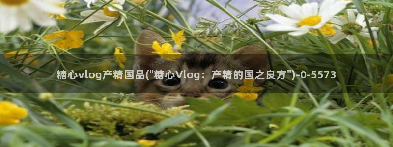 糖心vlog 多乙