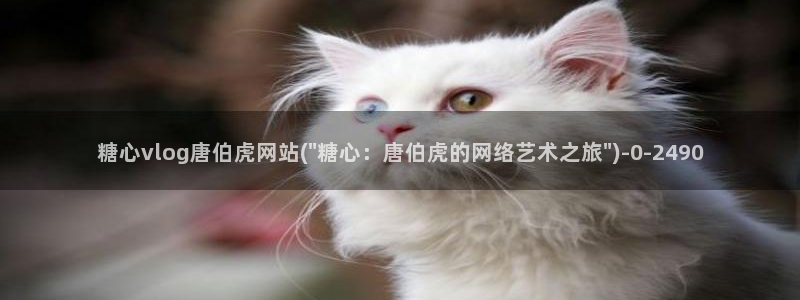 糖心vlogvlog