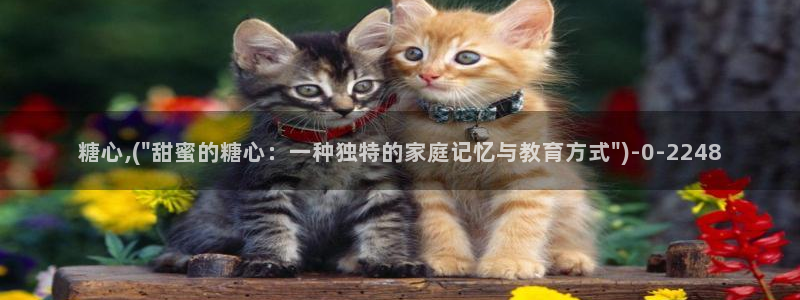 糖心vlog破解免费