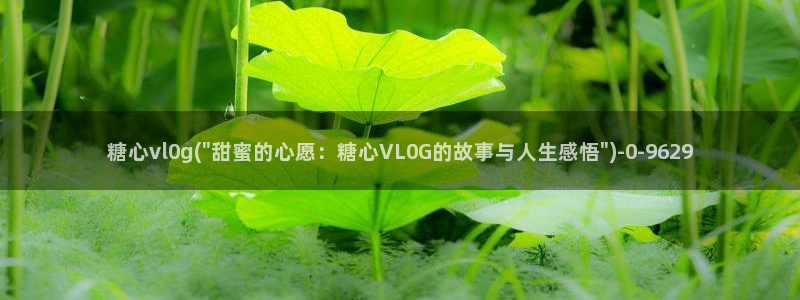 糖心vlog所有女演员
